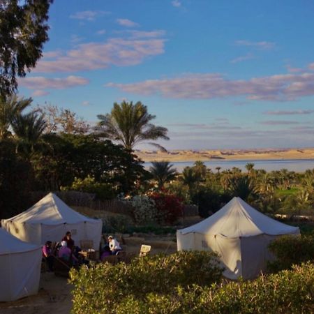Tunis Village El-Fayoum Exterior photo