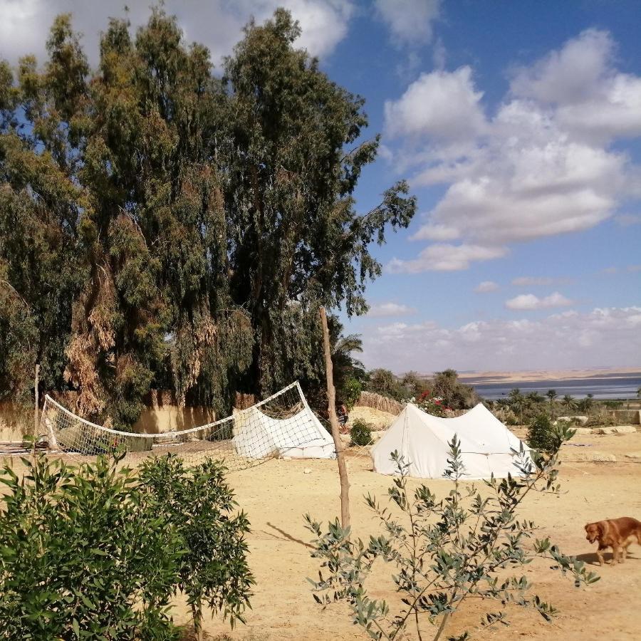 Tunis Village El-Fayoum Room photo