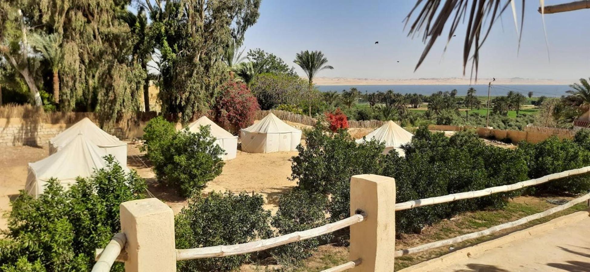Tunis Village El-Fayoum Exterior photo